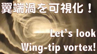 【実験】翼端渦を見てみよう！風洞で可視化した映像で解説 [upl. by Asiaj]