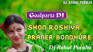 Bengali Bhawaiya DJ Song  Shon Roshiya Praner Bondhure  Dj Rahul [upl. by Anirba]