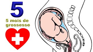 5 mois de grossesse  tout bouge  EnceinteSante [upl. by Kos]