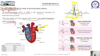 Pondicherry UniversityBMPCT304 BIOSIGNALS AND SYSTEMS Module V ECG signal Processing [upl. by Harlen]