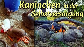 Kaninchen in der Selbstversorgung Felle Fleisch Haltung und Rezepte [upl. by Zaller]