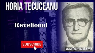 Revelionul  Horia Tecuceanu [upl. by Aniehs]