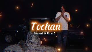 Tochan song   Slowed amp Reverb  Sidhu Moosa Wala [upl. by Ibmat]