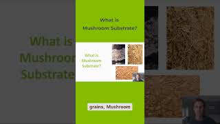 What is Mushroom substrate Grocycle [upl. by Ynnal710]