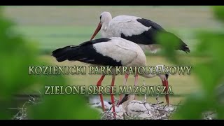 Kozienicki Park Krajobrazowy Zielone serce Mazowsza [upl. by Ariamat]