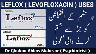 Leflox Tablet Used For in Urdu  Leflox  Levofloxacin  Tablet Uses  Leflox Tablet Side Effects [upl. by Eelyk]