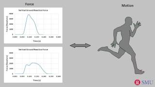 Linking running motion to ground force the concise physics of running [upl. by Glennie]