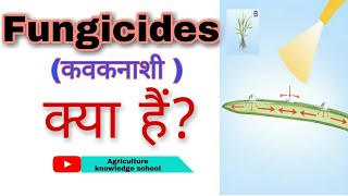 Fungicides क्या हैं। Classifications of Fungicides।Systemic Fungicide और Contact Fungicide में अंतर। [upl. by Bellamy]