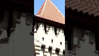 Medieval Hohenzollern Castle medieval castle shorts [upl. by Sybil]