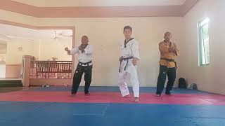 Taekwondo Jitae Poomsae step by step [upl. by Kelley]