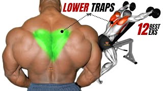 TRAPS WORKOUT Top 12 LOWER traps exercises AT GYM [upl. by Goodill675]