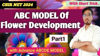 ABC MODEL OF FLOWER DEVELOPMENT CSIR NET 2024 Developmental biology CSIR NET PARTC NTA CSIR NET [upl. by Leahcimnaes]