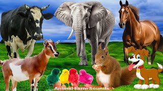 Sounds Of Familiar Farm Animals Duck Cow Horse Chicken Cat Elephant  Animal Sounds [upl. by Demeyer]