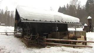 Bavarian Forest  Three Travel Tips  Discover Germany [upl. by Cleasta]