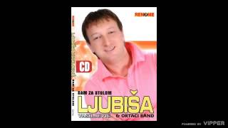 Ljubisa Vasiljevic  Gde ja stadoh ti produzi  Audio 2006 [upl. by Muhammad]