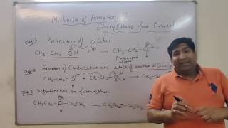 Mechanism of formation Ethoxyethane from ethanol ।। Chandrakant Academy ।। Chemistry [upl. by Zilber]