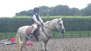 What do you love about Lavant House Stables [upl. by Lleryd]