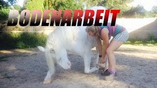 🍃 🌿 Bodenarbeit  Zirzensik und reiten ohne Sattel [upl. by Aihsemaj155]