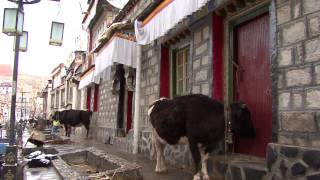 Gyantse Tibet [upl. by Wing]