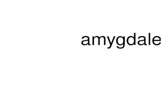 How to pronounce amygdale [upl. by Cynera]