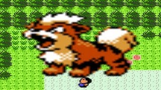 How to find Growlithe in Pokemon Crystal [upl. by Eleets]