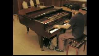 Sean Paul  She doesnt mind  piano amp drum cover acoustic unplugged by LIVE DJ FLO [upl. by Carlyle338]