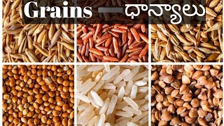 Cereals and grains names in english cereals names in telugu cereals and grains names in telugu [upl. by Adym615]