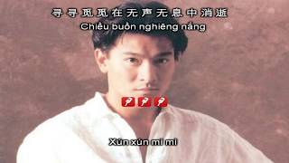 KARAOKE song ngữ TÌNH NHẠT PHAI  來生緣  Lưu Đức Hoa [upl. by Fianna316]