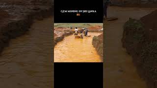 Gem mining in Sri Lanka 🇱🇰 gems gemstones ceylon mining srilanka [upl. by Hamachi638]