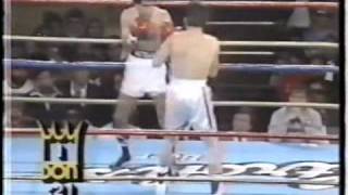 JULIO CESAR CHAVEZ VS RUBEN CASTILLO 13 [upl. by Alboran]