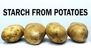 Extracting the starch from potatoes [upl. by Niamert]