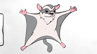 How to Draw CARTOON SUGAR GLIDER [upl. by Coveney]