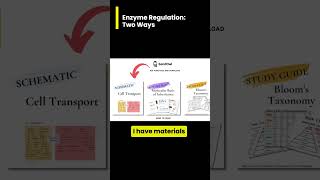 Enzyme Regulation Feedback Inhibition vs Gene Regulation [upl. by Lrac]