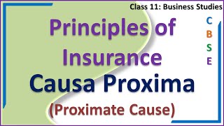 Principles of Insurance Principle of Causa Proxima Principle of Proximate Cause [upl. by Nevanod676]