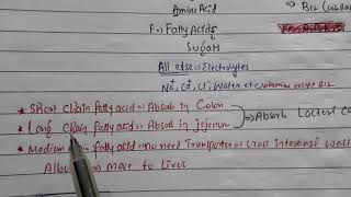 Absorption in small intestine with Mnemonic [upl. by Yssim]