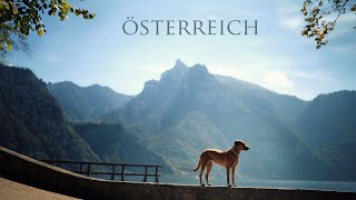 zufusszius Wander Urlaub mit Hund in ÖSTERREICH [upl. by Wojcik]