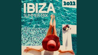 Ibiza Summer Mix 2022 [upl. by Ahsad827]