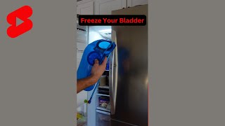 Best Way to Store a Hydration Bladder Shorts [upl. by Arenat294]