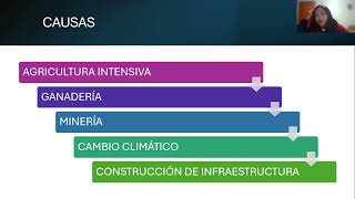 Avance de Portafolio 2 YuleydiPerezTicona [upl. by Asilim]