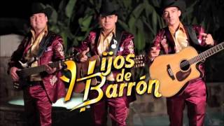 Los Hijos de Barrón Megamix [upl. by Erlene]