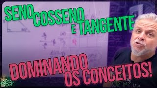 Relações Trigonométricas Seno Cosseno e Tangente de Forma Simples  Matemática com Prof Heraldo [upl. by Ylsew]