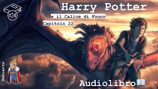 Audiolibro  Harry Potter e il calice di fuoco  Lettura e Commento Cap 22 [upl. by Eldridge]