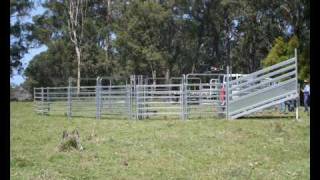 M amp M Stockyards  50 Head Working Capacity Cattle Yards [upl. by Einolem482]