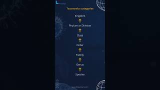 Taxonomics categories  Class 11 Biology ncert [upl. by Adohr982]