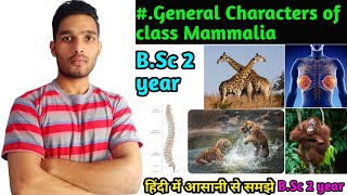 General Characters of Class Mammalia  BSc 3rd Year Zoology 5th Semester 2nd paper [upl. by Aiyot]