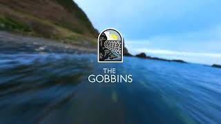 The Gobbins Cliff Path [upl. by Ahsuoj217]