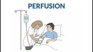 Comment se passe une perfusion [upl. by Hinckley]