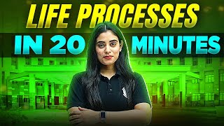 Life Processes  Complete Chapter In 20 Minutes  Class 10th Board [upl. by Nidya189]