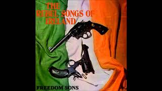 Freedom Sons  Patriot Game  Irish Rebel Music [upl. by Kernan428]