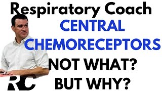 Respiratory Therapy  Central Chemoreceptors [upl. by Glyn772]